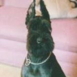 Meet your Posher, Lucy